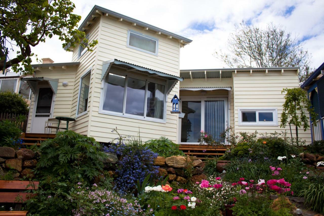 Lotti'S House Villa Albany Exterior foto